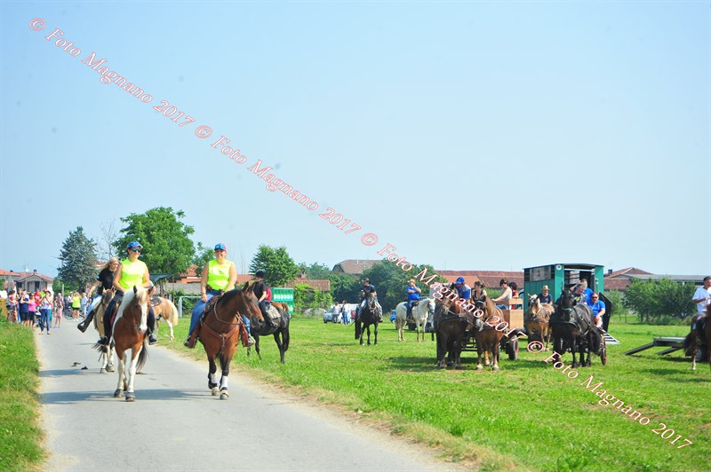 DSC_0738.JPG